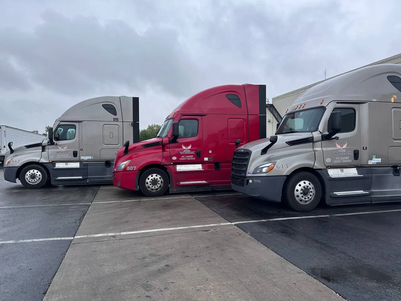 Three Wise Wheeler trucks lined up in the yard